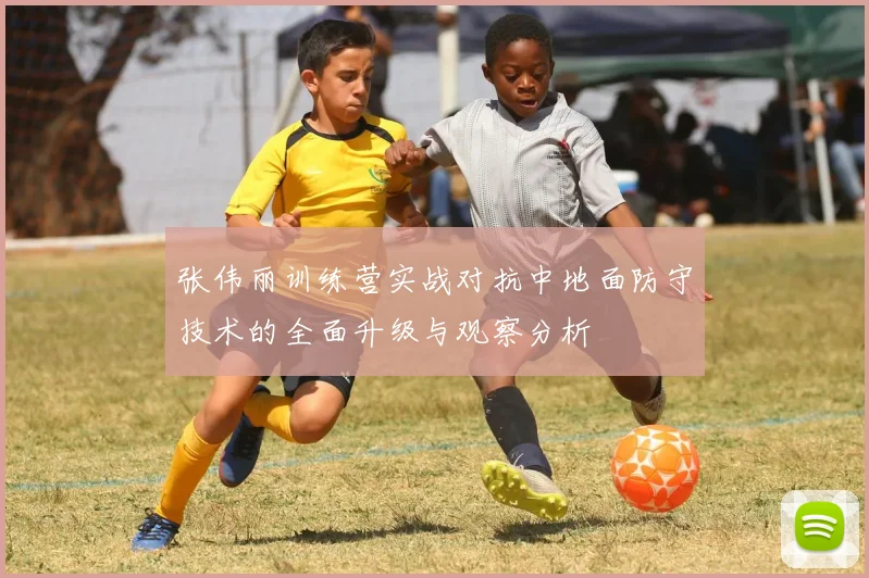 张伟丽训练营实战对抗中地面防守技术的全面升级与观察分析